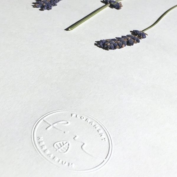 Lavendel Herbarium