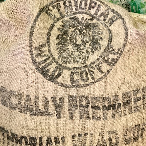 Äthiopien Rohkaffee