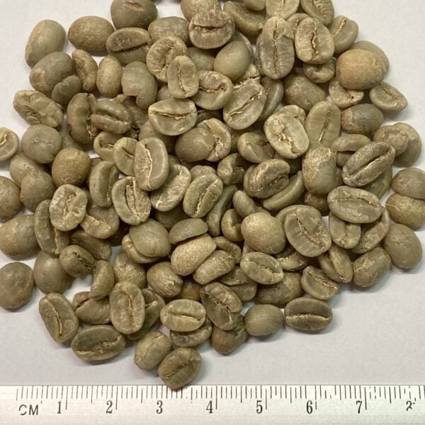 Rohkaffe Nicaragua