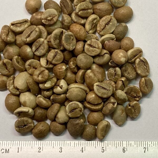 Rohkaffee Uganda Robusta