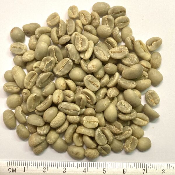 Äthiopien Sidamo Rohkaffee