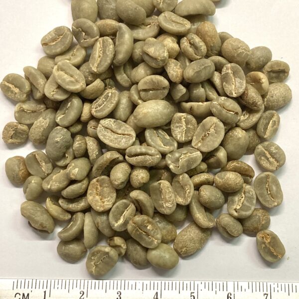 Peru Arabica Rohkaffee