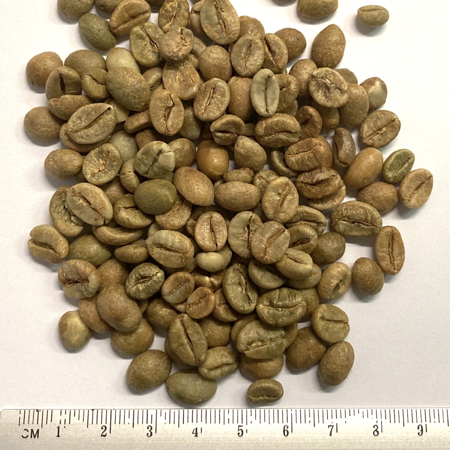 Rohkaffee Vietnam Robusta