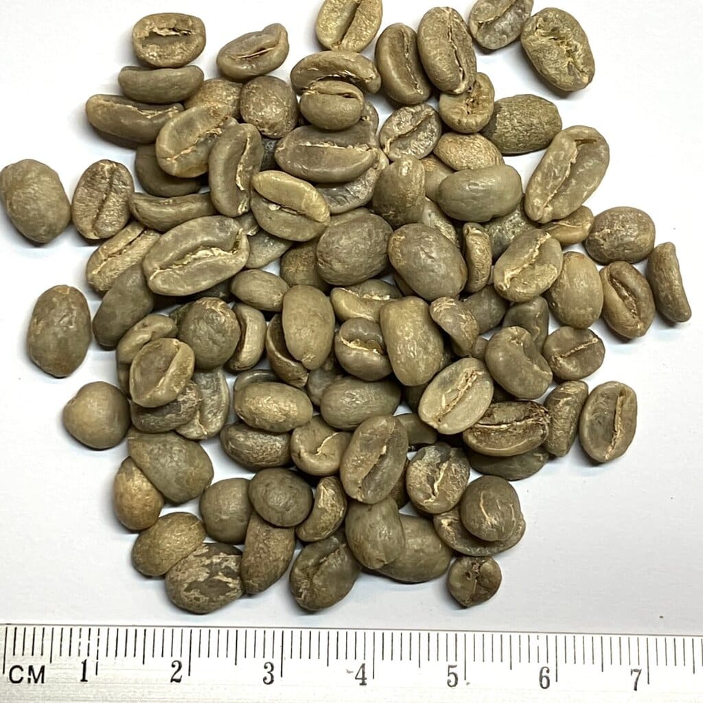 Rohkaffee Kolumbien Excelso